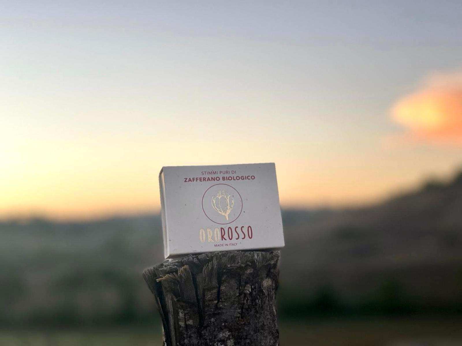 Agriturismo La Terrazza Sul Mangia Siena Eksteriør billede