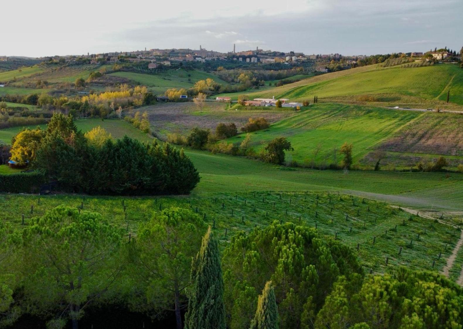 Agriturismo La Terrazza Sul Mangia Siena Eksteriør billede