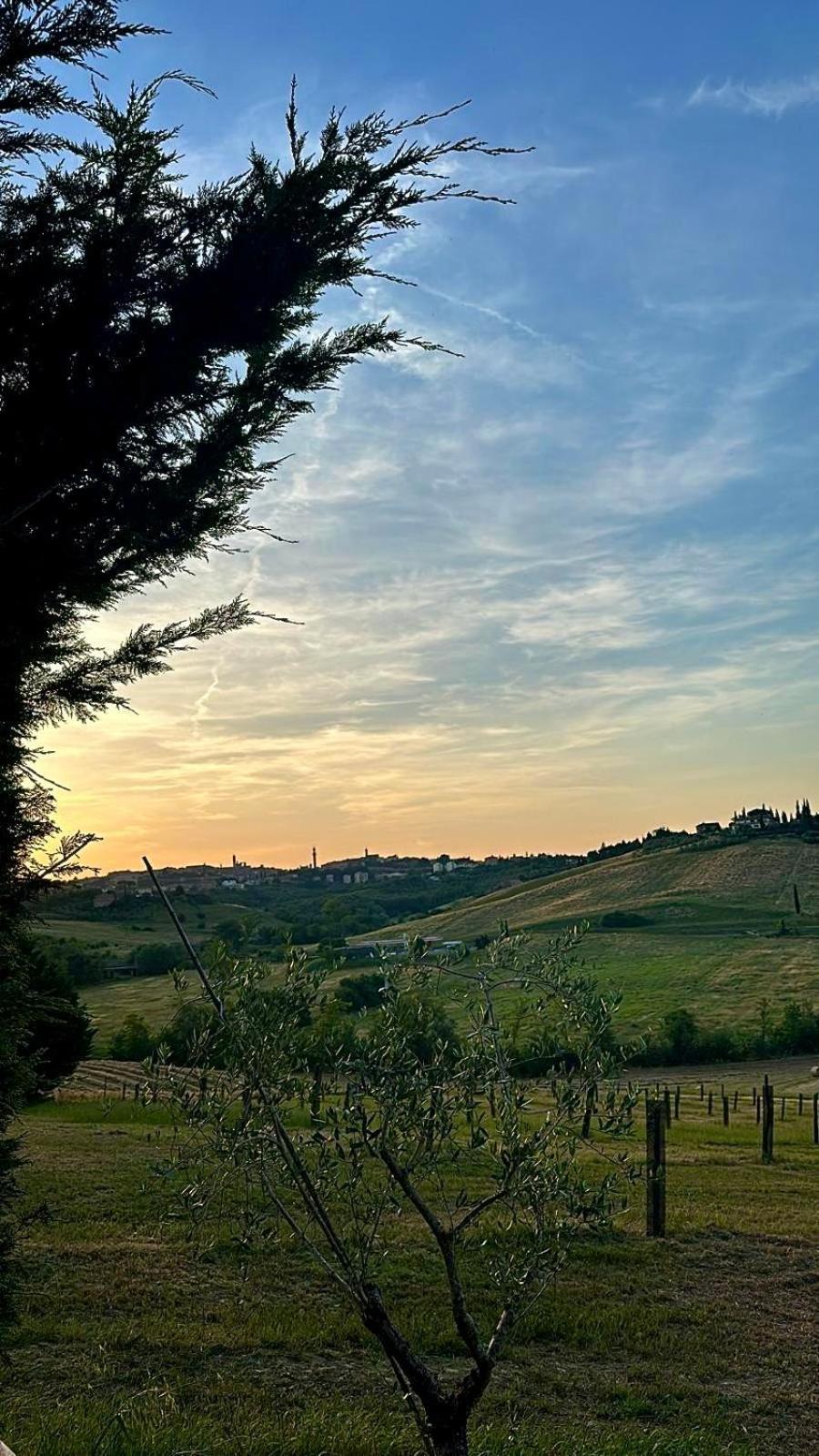 Agriturismo La Terrazza Sul Mangia Siena Eksteriør billede