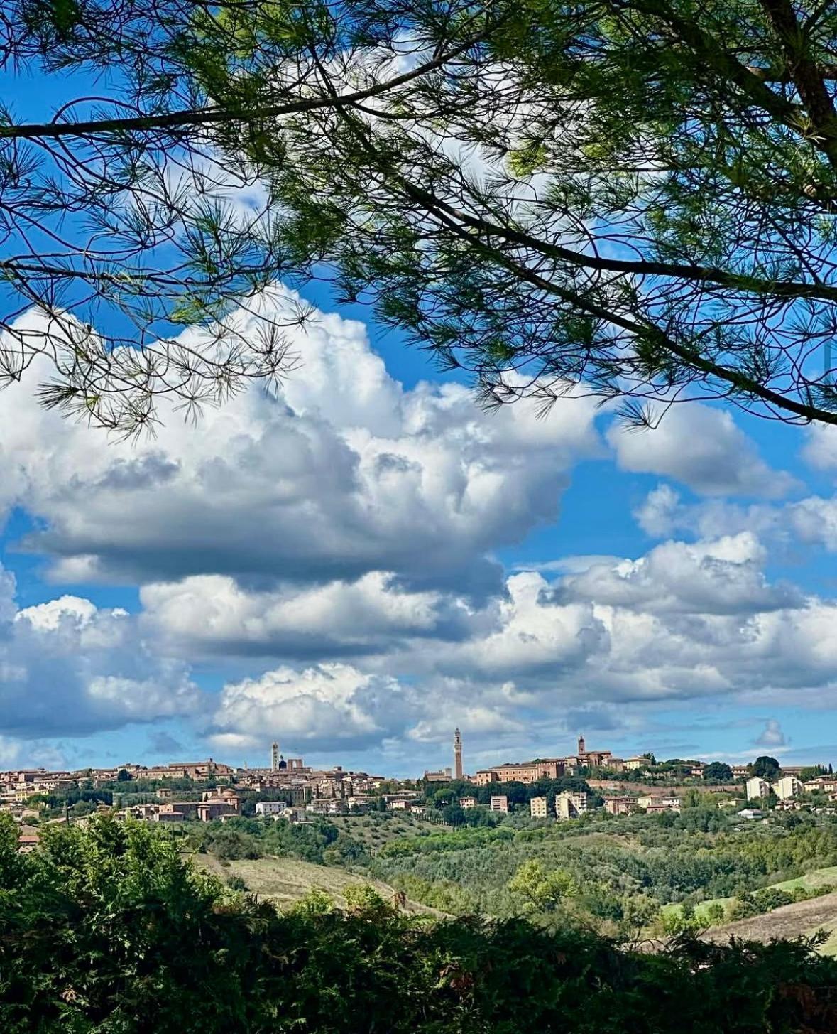 Agriturismo La Terrazza Sul Mangia Siena Eksteriør billede